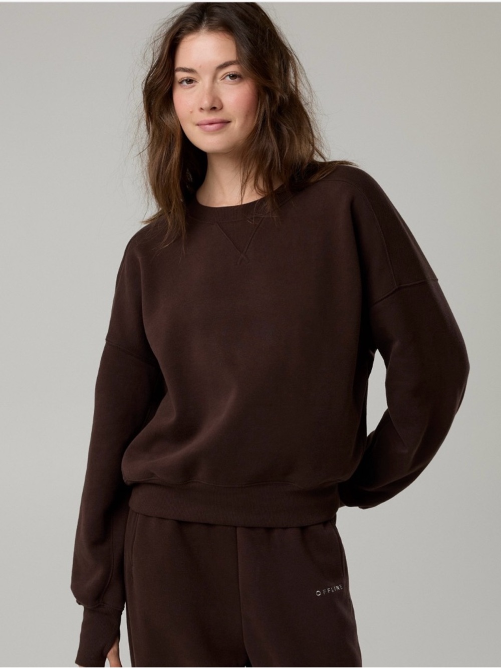 Aerie Brown  Offline Cloud fleece Crewneck Sweatshirt